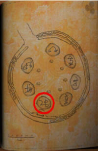 boar book