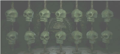 14 skull solution