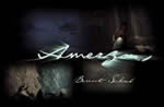 Amerzone