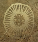 Chamber Pattern 