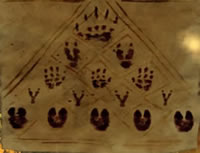 footprints