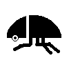 Beetle