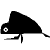 Wahrk